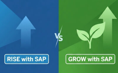 RISE with SAP vs Grow with SAP : quelles différences et lequel choisir ?